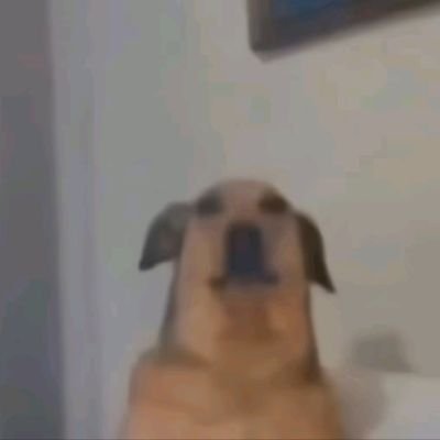 lllll9_____'s profile picture. main got banned