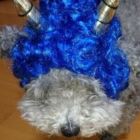 wonderful rock 🐕 (@wdoictwnv0bsp7c) 's Twitter Profile Photo wonderful rock 🐕 (@wdoictwnv0bsp7c) 's Twitter Profile Photo