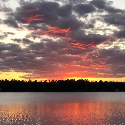 LisaSch40881810's profile picture.