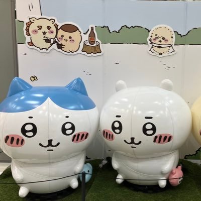 bluefujii0016's profile picture. 