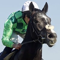Noel Wilson (@noelwilsonx) 's Twitter Profile