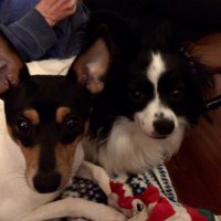 Kacey Bones (@kaceybones56714) 's Twitter Profile Photo Kacey Bones (@kaceybones56714) 's Twitter Profile Photo