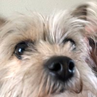 Peter (@peter1069807) 's Twitter Profile
