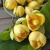 poetry (@sangeetashembe6) Twitter profile photo poetry (@sangeetashembe6) Twitter profile photo