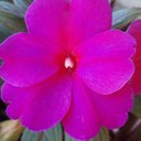 Éva Vincze - @TalanViktoria24 - Twitter