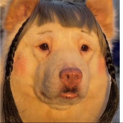 S7E8X9's profile picture. 155cm/85kg本人肉肉的🤣 備用帳號 小野馬2.0‼️兩個帳號都可以❤️ 喜歡就追起來🤪