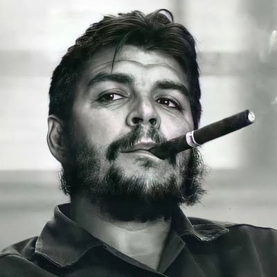 alihazem75947's profile picture. 