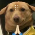 KING桑 (@kingfangtheking) 's Twitter Profile Photo KING桑 (@kingfangtheking) 's Twitter Profile Photo