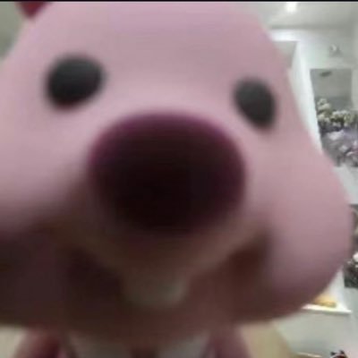 mook.さんのプロフィール画像