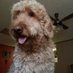 Page 67 (@67page12297) Twitter profile photo Page 67 (@67page12297) Twitter profile photo