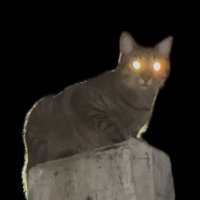 ؘ (@keleass) 's Twitter Profile