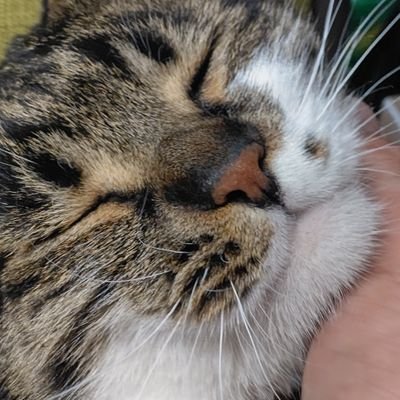 bassフィッシング✨ボウリング🎳
好きでやってま〰️す✨
大型トラック🚚関東一円転がしてます✨