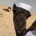 ّ (@abudhabiprofile) Twitter profile photo ّ (@abudhabiprofile) Twitter profile photo