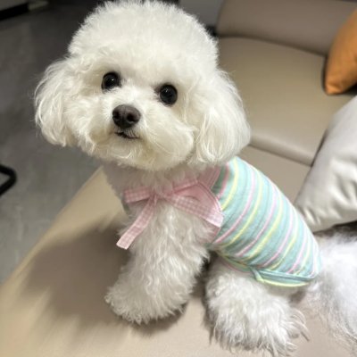 marie_19880's profile picture. Life isn't about finding yourself. It's about creating yourself. – George Bernard Shaw  
 Beautiful mother of a lovely daughter  / 2A /Golf