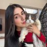 deadliverr's profile picture. Medicine|fashion and a bit of everything that inspires me 
Here for social experiment; tweets are hybrid, never meant to hurt someone's feelings so don't mind