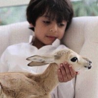 سـعود • (@_81qq) Twitter profile photo