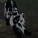 Sara Spiering - @SpieringSa70272 - Twitter