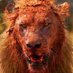 Busy Lion (@therston) Twitter profile photo