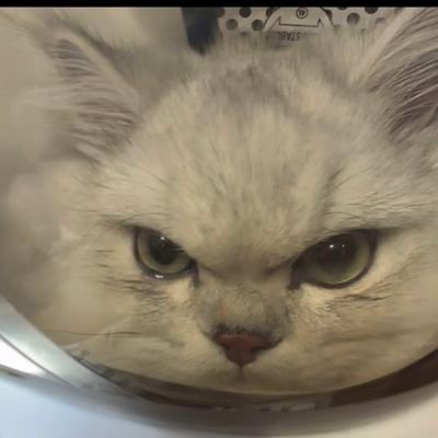 Ez4Ts50885's profile picture. Тут будет что-то, а может и не будет, по настроению