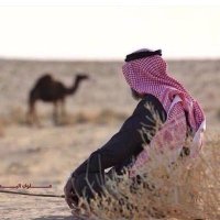 واقع الكلام (@alklamwaq22982) 's Twitter Profile