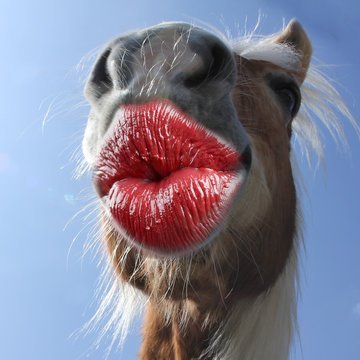 AndreewGill's profile picture. 