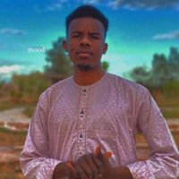 Fares Khater 🇸🇩 (@fares2006550) 's Twitter Profile