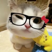Guy (@gombojonjonkai_) 's Twitter Profile