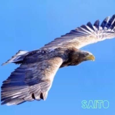 kentaro_s1980's profile picture. 仙台市