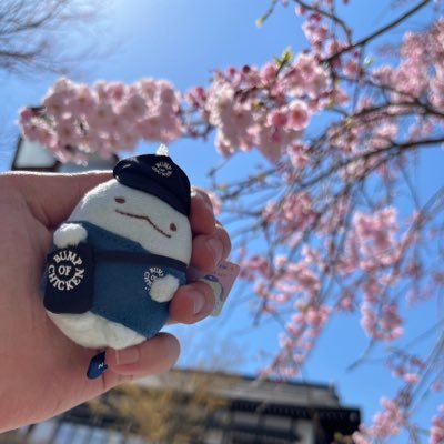 o_ncis1115's profile picture. 最近はBUMPと NCISと櫻坂しか聴いてない気がする...