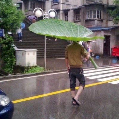 animal727_'s profile picture. 20⬆️ / 토니피터 좌우상대고정 only / 지랄과 재미없는 개소리가 많습니다 / FUB Free / 알티多 말多 / 비팔 알람 끔 / 모든 트윗은 미디어에서만.