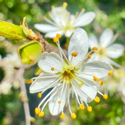 StefanSt27398's profile picture. 