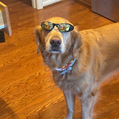 kbrooks910's profile picture. #RaiseHail #ALLCAPS #Natitude #DCAboveAll #CarolinaFamily