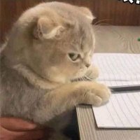 Sᴍᴀʀᴛ (@bobotic2) 's Twitter Profile