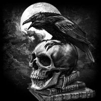 Raven Cinder (@ravencinder1) Twitter profile photo