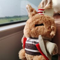 yukikaze (@drunontry) 's Twitter Profile Photo