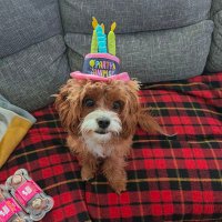 Stevie (@smgecon) 's Twitter Profile