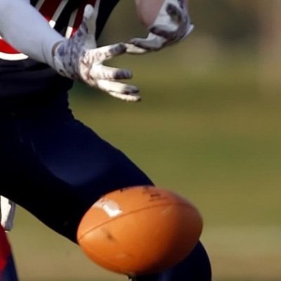 gimmyfumble's profile picture. Fumble