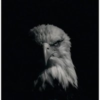 bawer (@sedatsn644048) Twitter profile photo