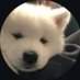 sweetyby (@clumzyby) Twitter profile photo sweetyby (@clumzyby) Twitter profile photo