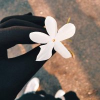 Baraah Hamada (@baraahhamada) 's Twitter Profile Photo Baraah Hamada (@baraahhamada) 's Twitter Profile Photo