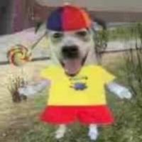 Sillybilly๐ (@moonrisemaxer) 's Twitter Profile Photo Sillybilly๐ (@moonrisemaxer) 's Twitter Profile Photo
