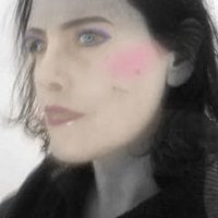 Anne C Anderson (@cattottic) 's Twitter Profile