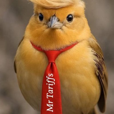 Besu2Besu's profile picture. Lies has short legs