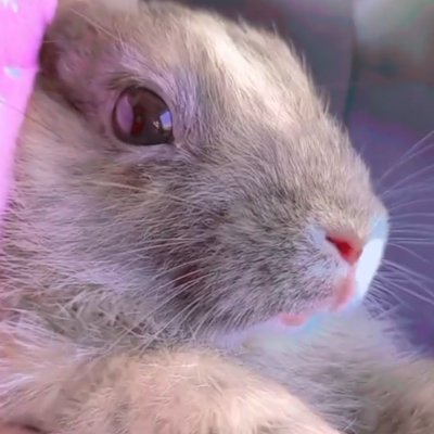 ꒰ 𝙽𝚎𝚕𝚕𝚢 ꒱さんのプロフィール画像