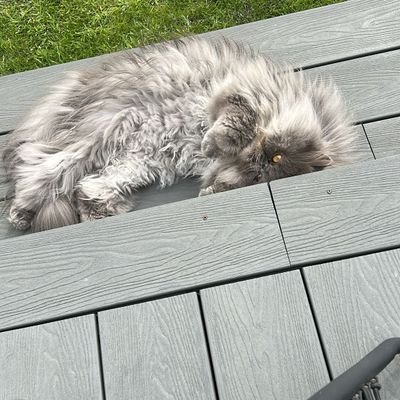 LeeWightma90385's profile picture. 