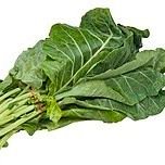 Vegetablegree's profile picture. Read.