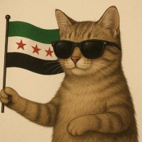 The Pragmatist (@t_pragmatist_) 's Twitter Profile