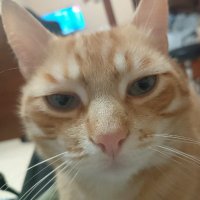 Dyma (@dymaval) 's Twitter Profile Photo Dyma (@dymaval) 's Twitter Profile Photo