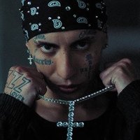Factos Bichito (@factosbichito) 's Twitter Profile