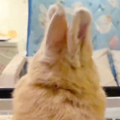 ATARNVERTLEE's profile picture. 나의 日記